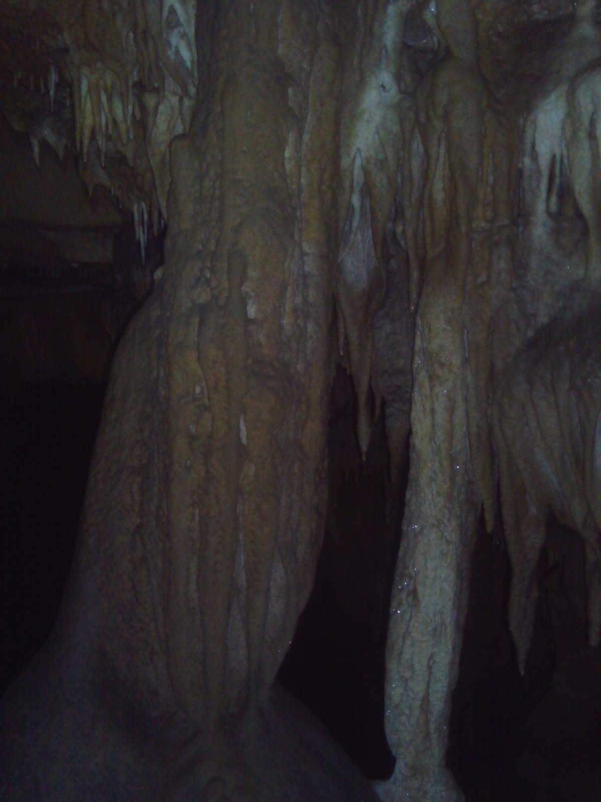The Life of a Caver: Return to Arthur Singleton's Cave