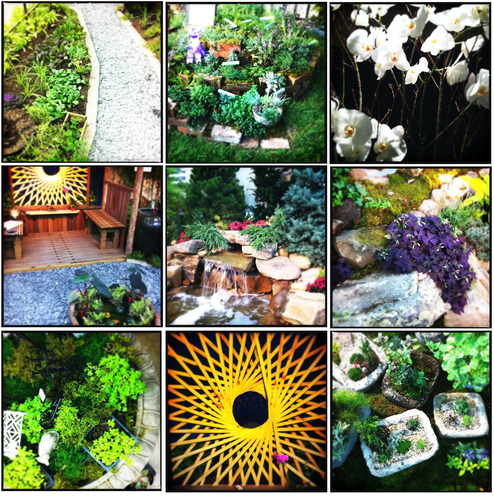 [ little observations ] nashville lawn and garden show