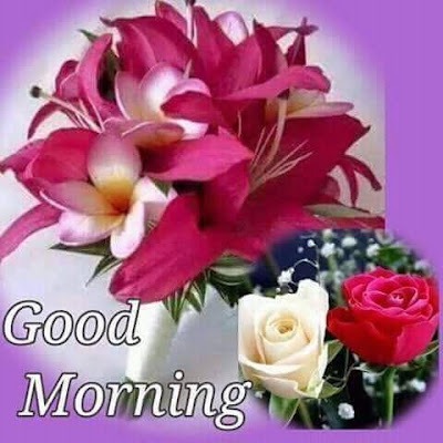 good morning good morning