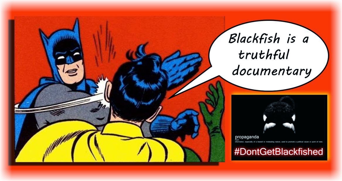 Where should students go to search for classes? image