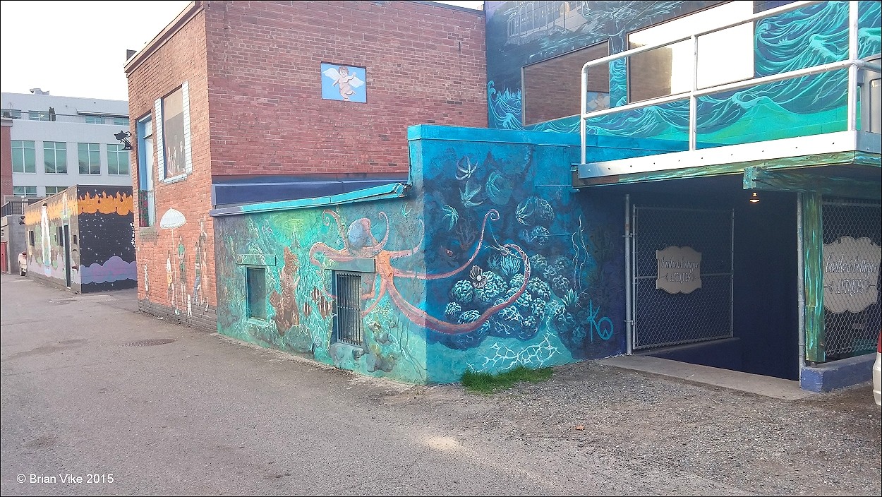 Northern Interior British Columbia Back Alley Mural Paintings Kamloops