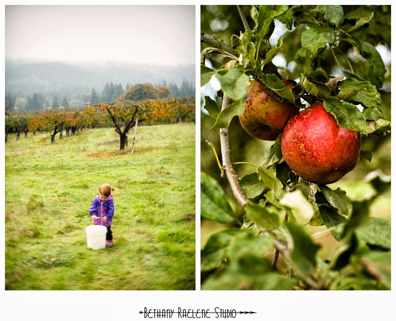 Habig Family Sherwood Orchards Family Portraits