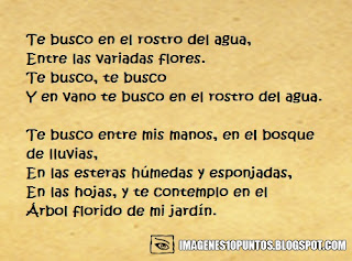 poemas de rosas poemas de rosas