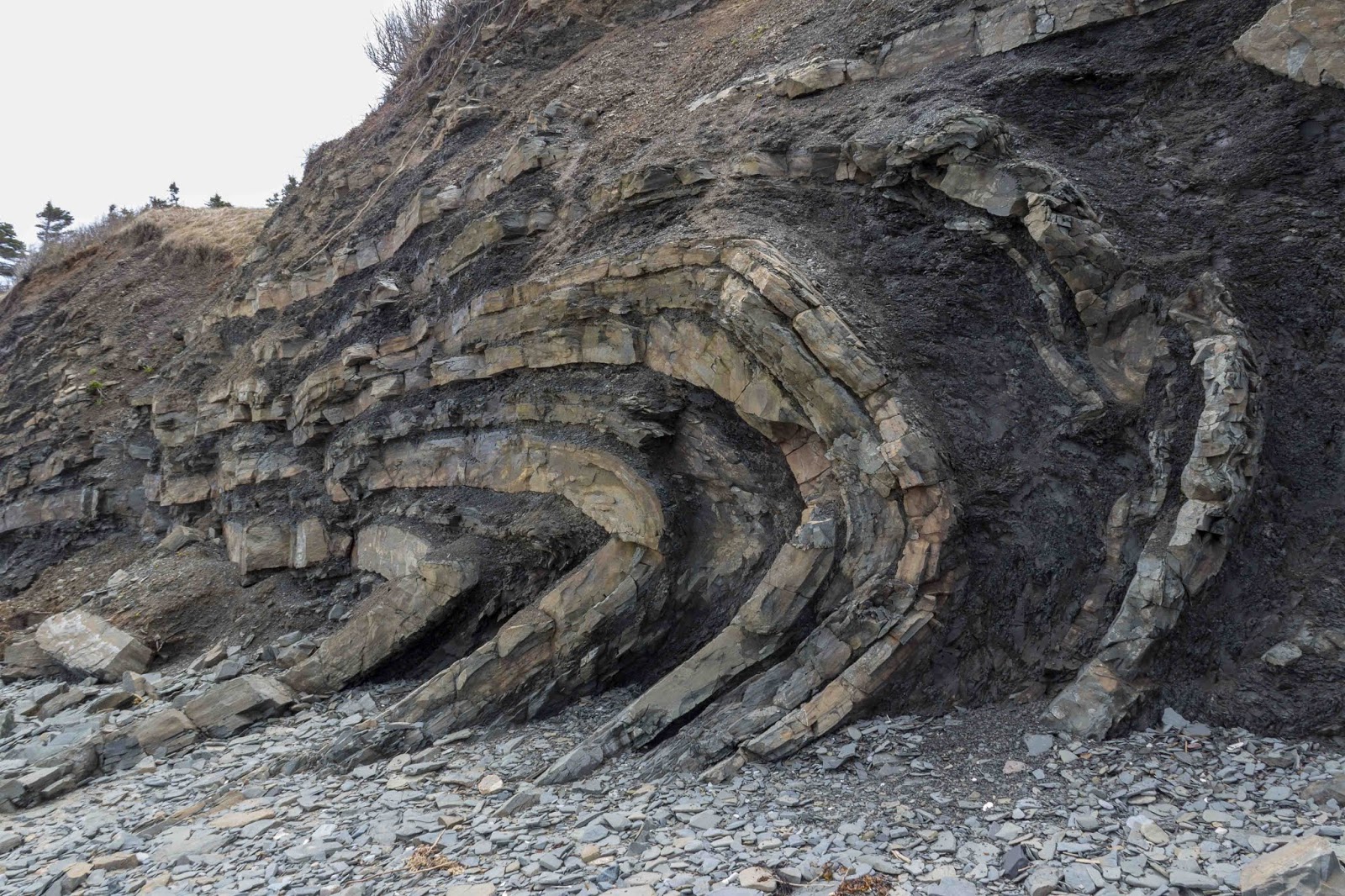 Folded rocks.