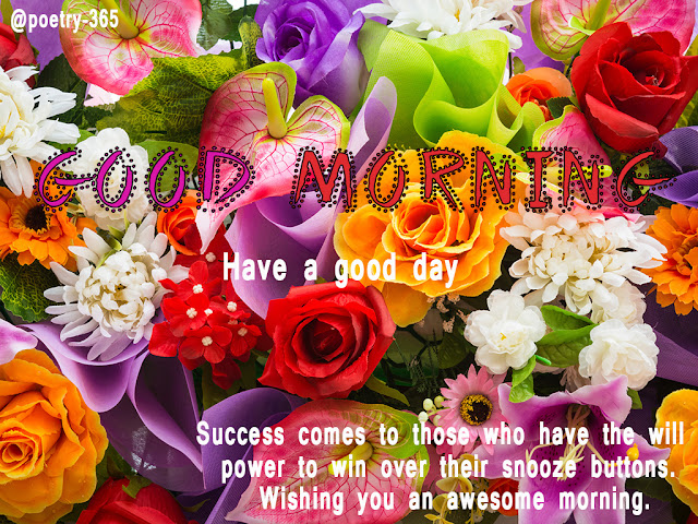 Wishes and Poetry: Good Morning Image of Poetry and Wishes with Flowers