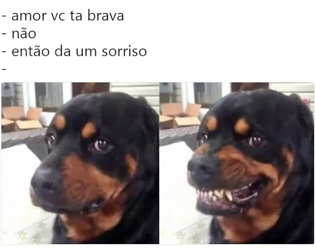 Memes engraçados Memes engraçados
