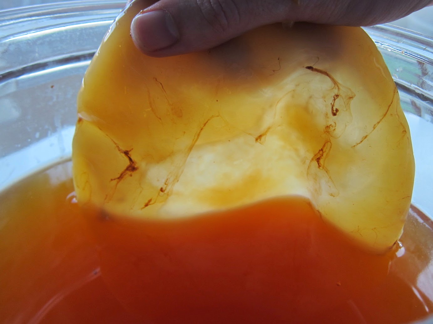 BEAUTIFUL YOU Crazy about Kombucha! The Beauty Behind it's External Use.