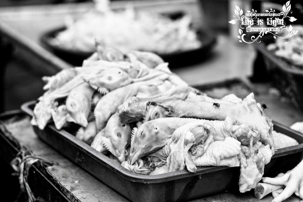 kepala ayam ayam