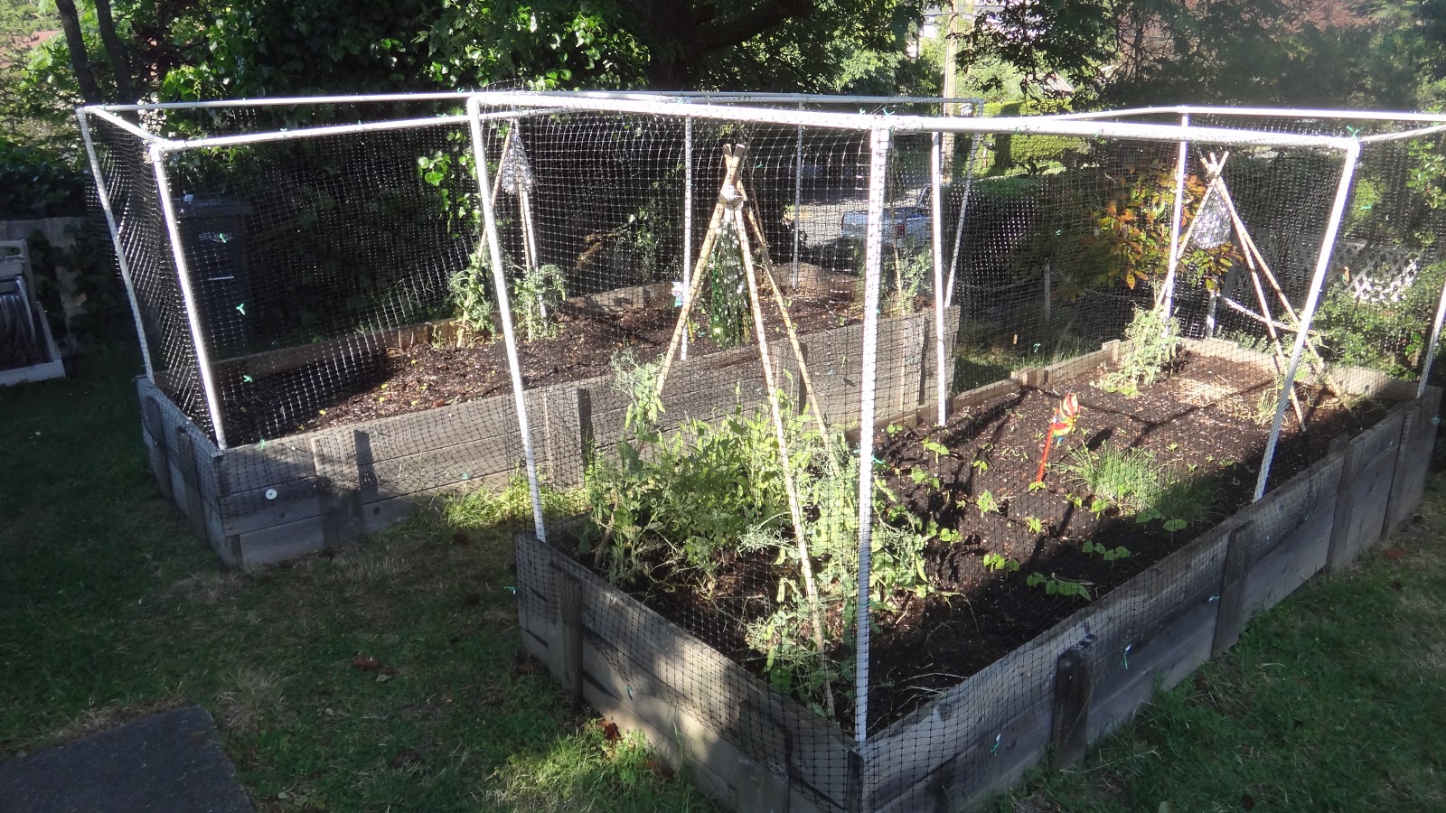 GollyGeeGosh Raised Garden Bed Deer/Squirrel/Racoon/Cat Prevention