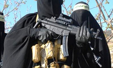 boko haram attack shiite muslims yobe boko haram attack shiite muslims yobe