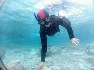 Wisata Pulau Menjangan Bali Barat : Menjajal Snorkeling Bersama Keluarga Snorkeling di Wisata Pulau Menjangan Bali Barat