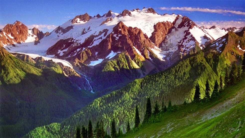 Vast Wilderness in Olympic National Park, Washington, USA Vast Wilderness in Olympic National Park, Washington, USA