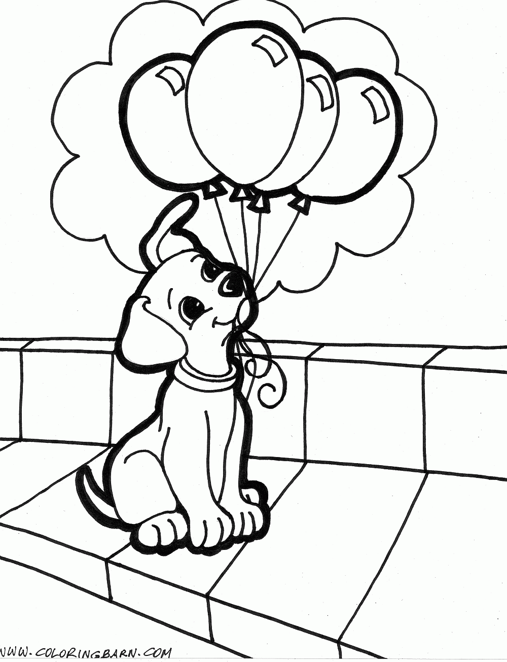 Cute Puppies Having Fun