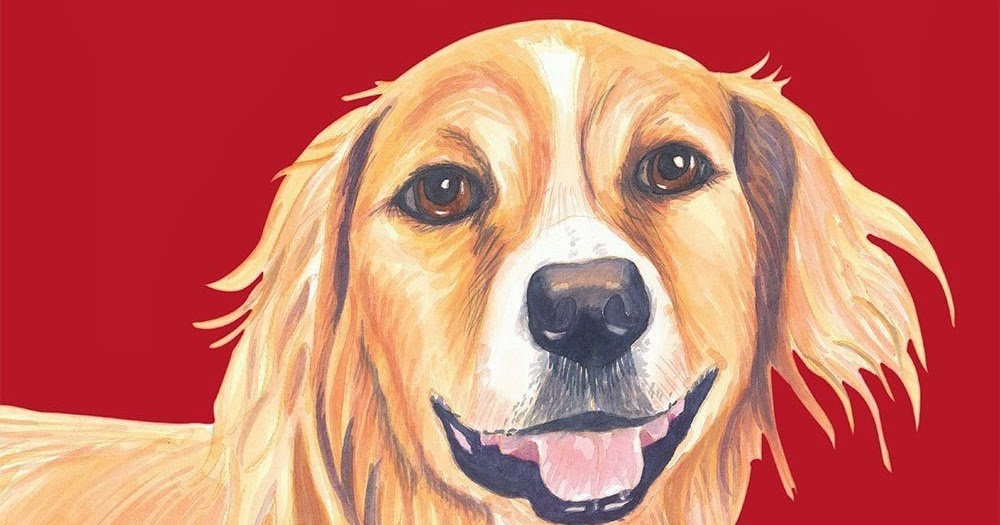 Фрэнк галлагер похож на собаку. Dog why. Dog eat dog идиома. Dog why. Црфе еру ащп.