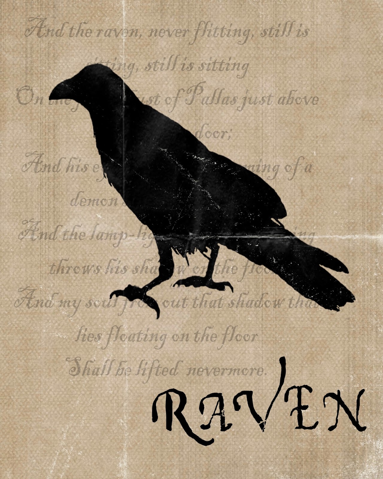 Raven перевод. Crow and raven differences. Raven vs crow. эмблема ворона. вороны.