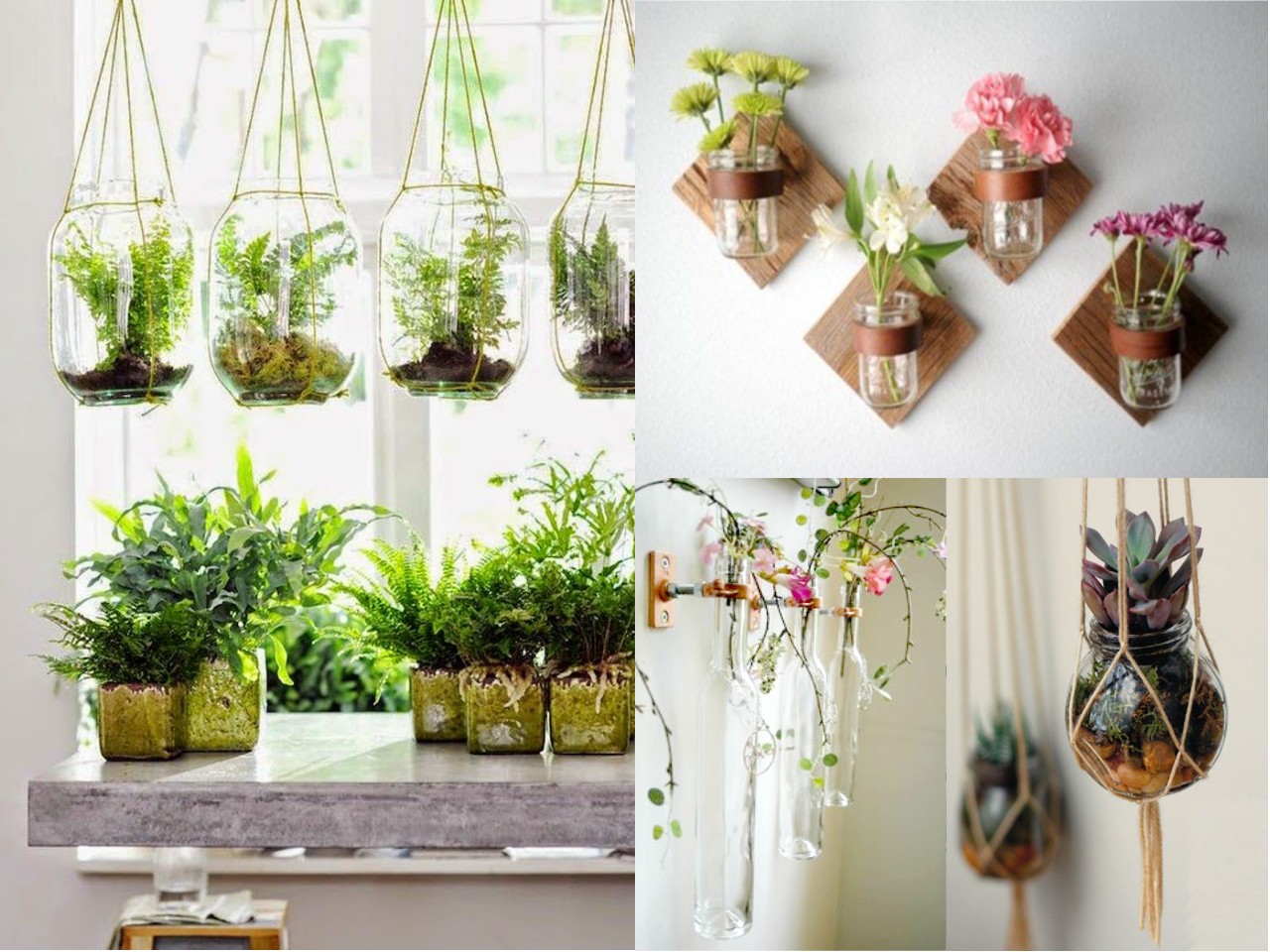 ideas para decorar con plantas de interior decoration42 decoracion con plantas de interior ideas para decorar con plantas de interior decoration42 decoracion con plantas de interior