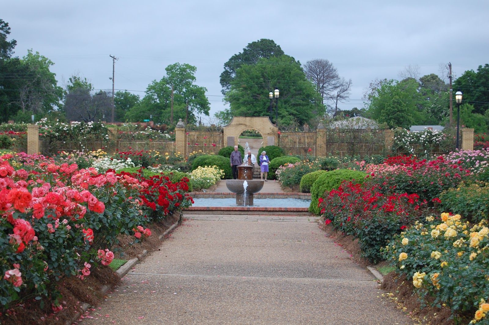The Conservatory Tyler Rose Garden