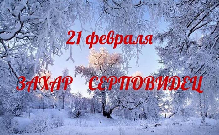 Картинки 21 февраля, дню рождения владимира