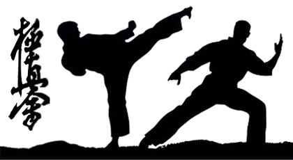 kyokushinkai karate