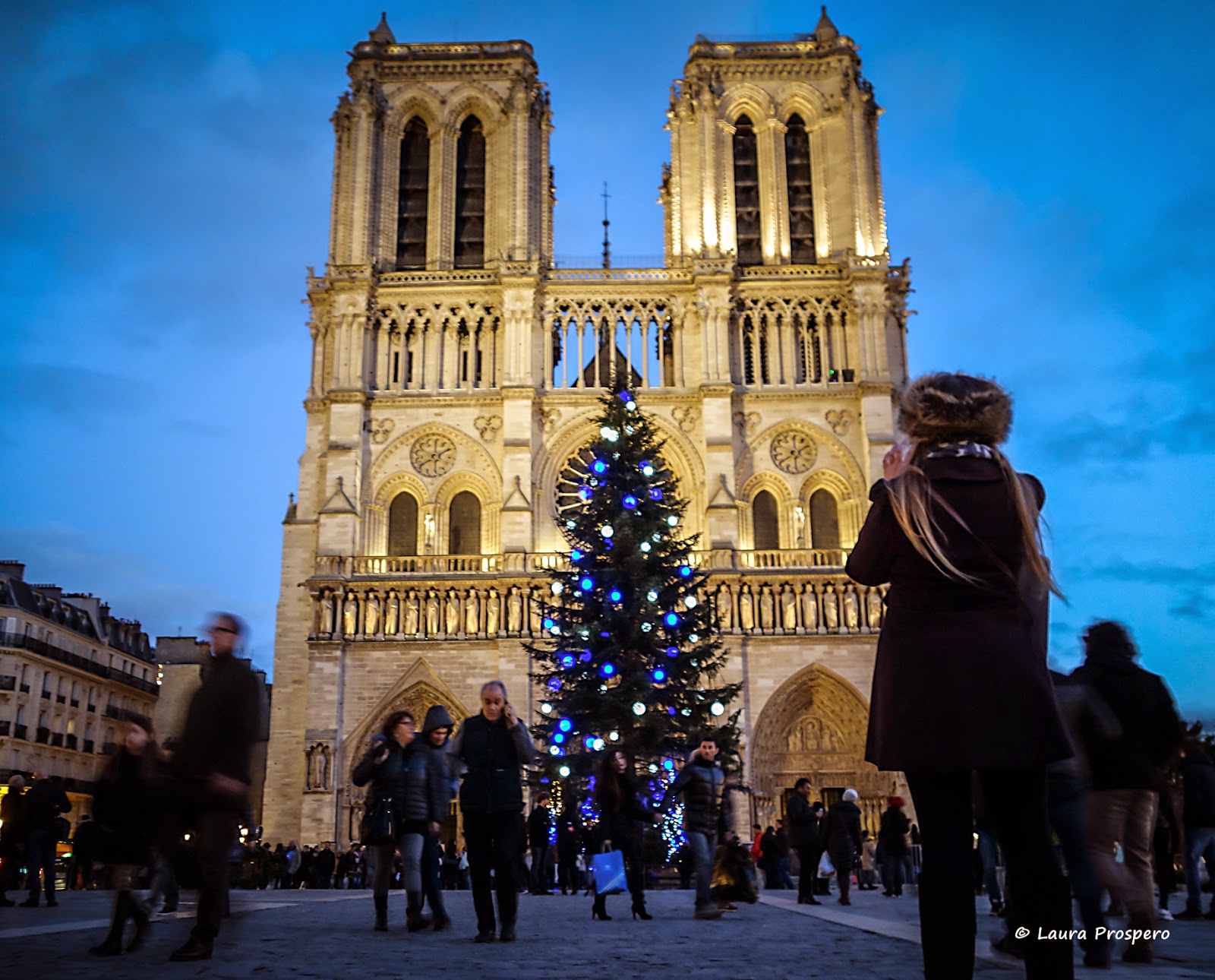 Notre-Dame - Noël 2014 © Laura Prospero