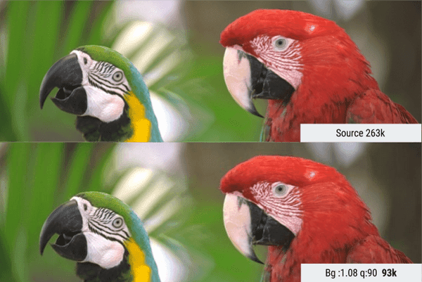 Original and compressed image comparison