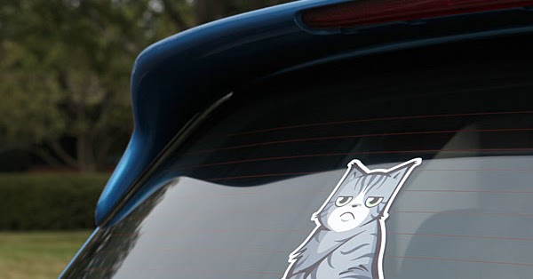 Cactus Car Wash Alpharetta Reviews Cactus Car Wash Alpharetta Reviews