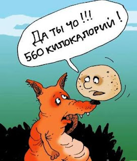 Калорийность суточного рациона