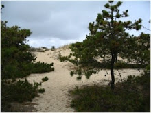 Provincetown Women’s Writing Retreat