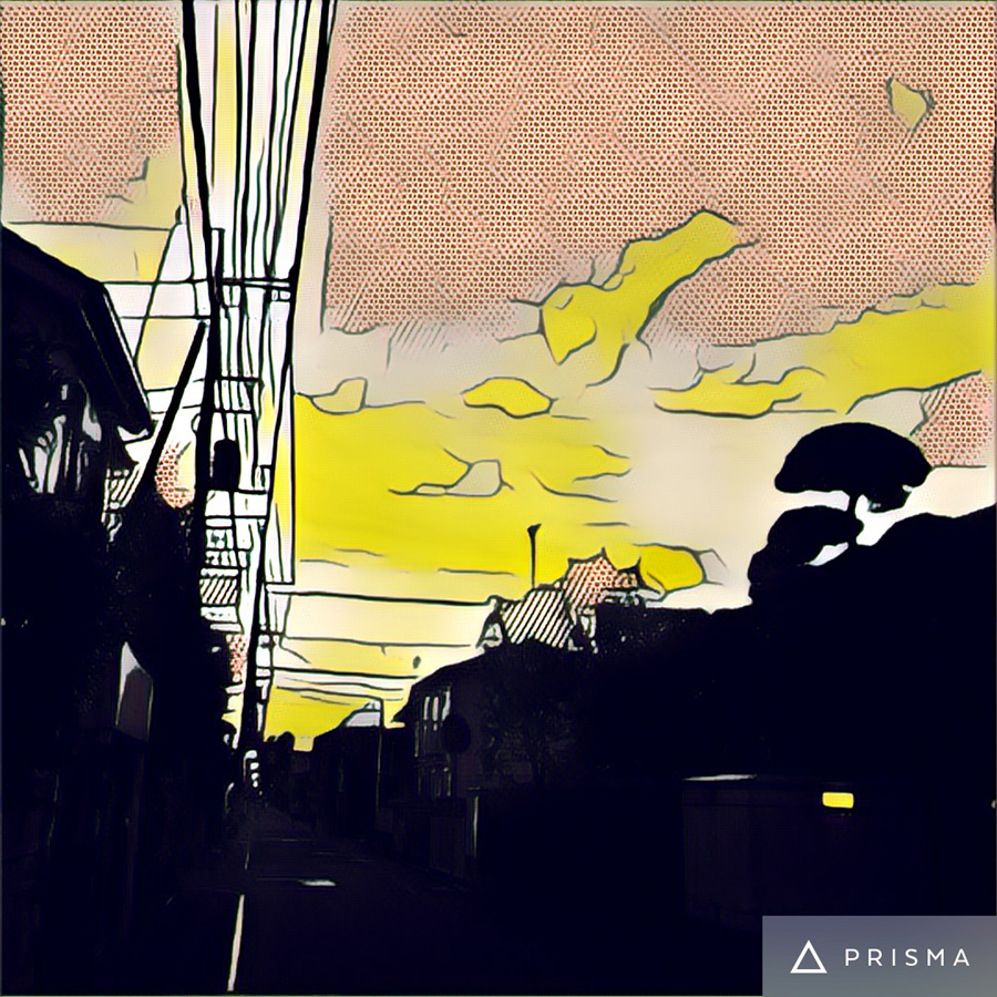 prisma-Roy