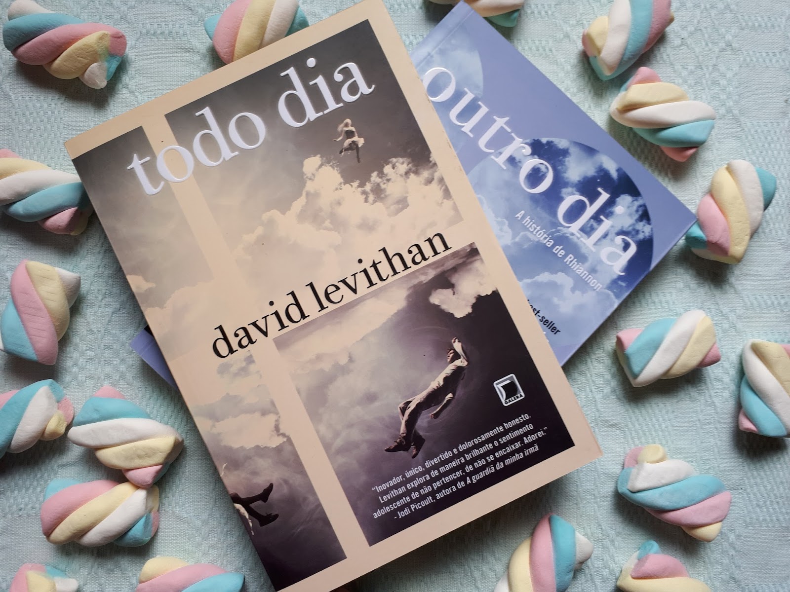 TODO DIA - DAVID LEVITHAN (TODO DIA #1) DICA DE LIVRO: TODO DIA - DAVID LEVITHAN (TODO DIA #1)