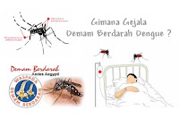 Tanda - tanda awal gejala Demam berdarah Dengue
