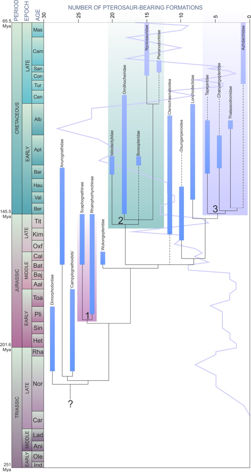 Pterosaur.net Blog: Our lives with pterosaurs, part 1