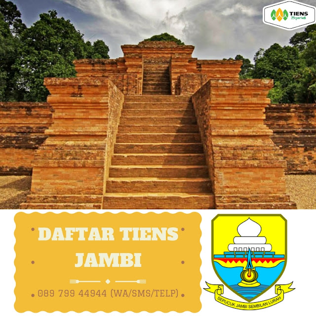 DAFTAR RESELLER TIENS SUNGAI PENUH 089 799 44944 | Bisnis Tiens Online