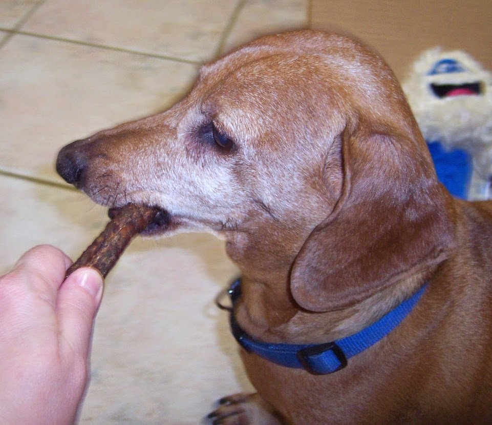 Lone Star Shopper BarkBox Dog Subscription Review, January 2015 + 10