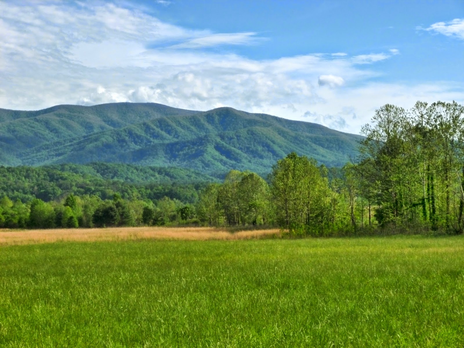 American Travel Journal Cades Cove Loop Road Great Smoky Mountains