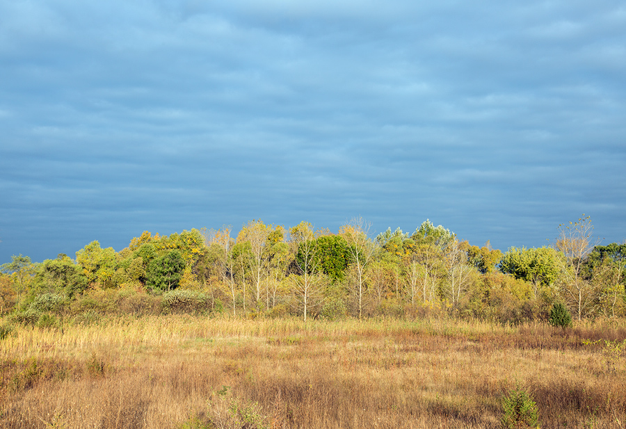 Wilderness area essay 07 image