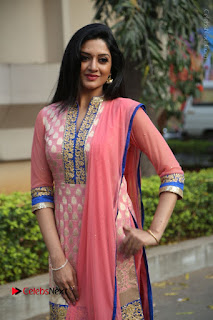 Actress Vimala Raman Stills in Beautiful Pink Salwar Kameez at (ONV) Om Namo Venkatesaya Press Meet  0073