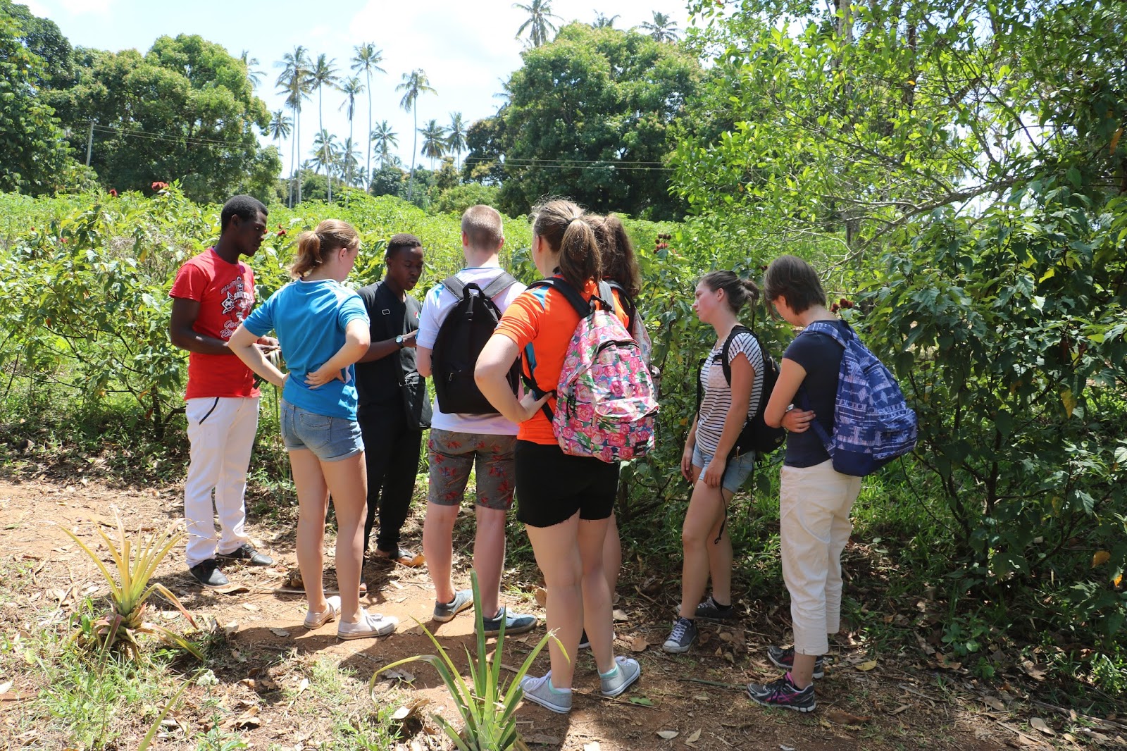 Reisverslag zanzibar ~ jtc for africa 2016 Planning op te zetten slaapkamers
