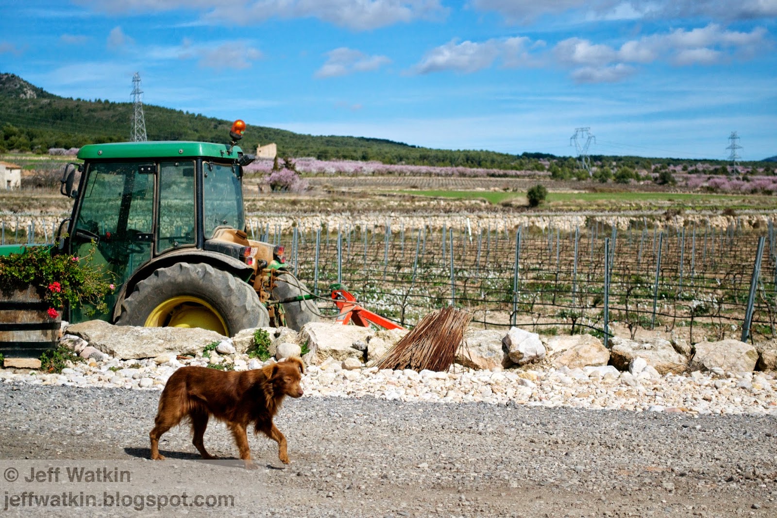 The Art of Starting Over Tarragona Wine Country