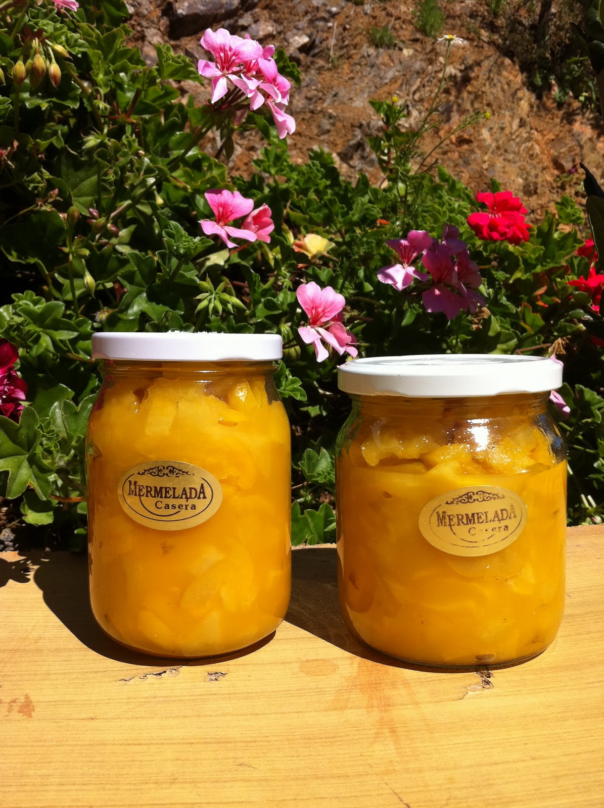 Rescatando Recetas Papayas