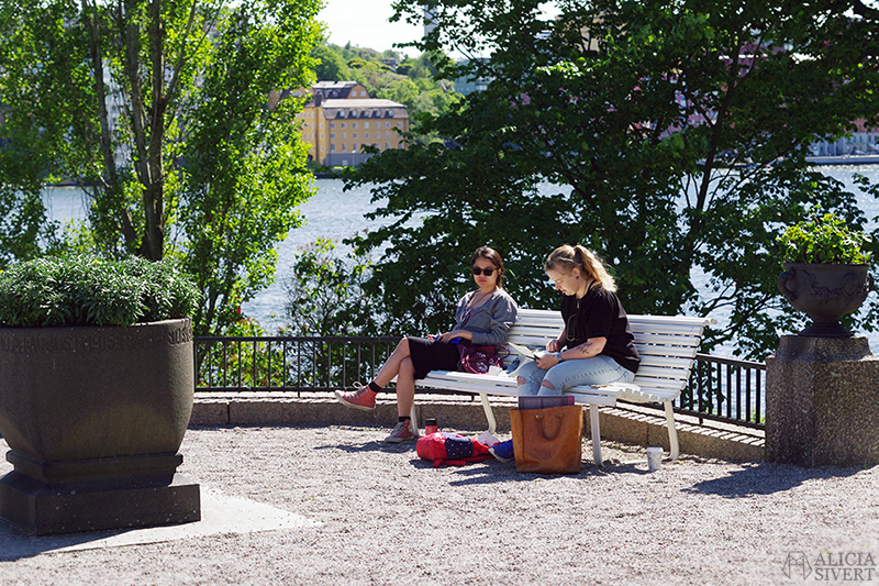 Waldemarsudde, foto av Alicia Sivertsson. aliciasivert alicia sivert alicia sivertsson djurgården stockholm utflykt utflyktsmål prins eugens waldemarsudde måla teckna teckning måleri friluftsmåleri utomhus i park parken museipark museiparken