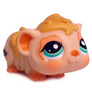 Littlest Pet Shop Pets on the Go Guinea Pig (#1844) Pet