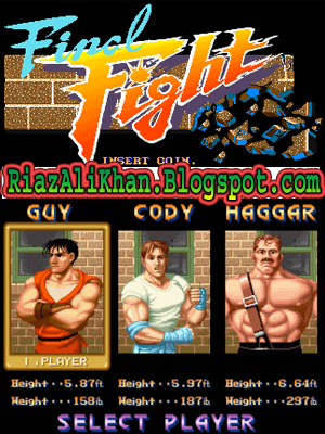 Final Fight PC Game Full Version Free Download - Riaz Ali Khan