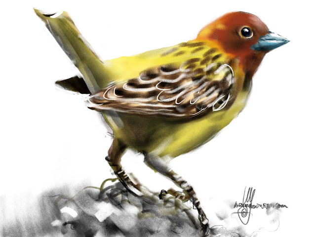 Red-headed Bunting bird painting by Ulf Artmagenta