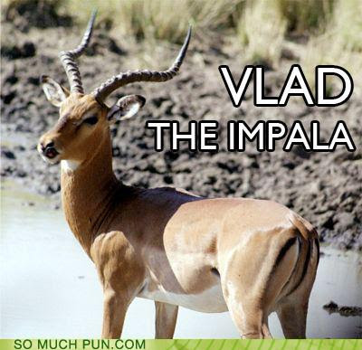 vlad the impala