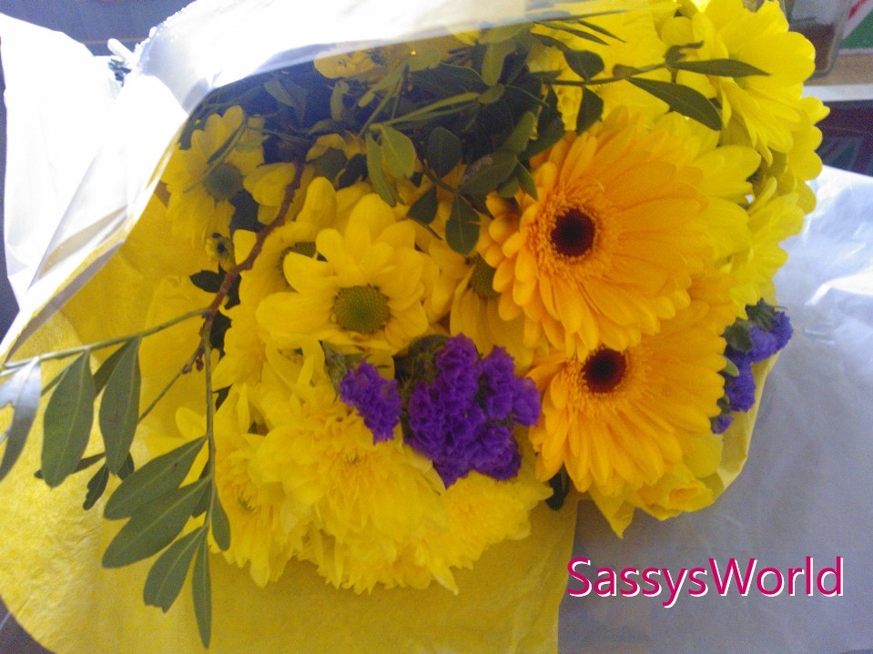 Sassys World Flowers from Tesco