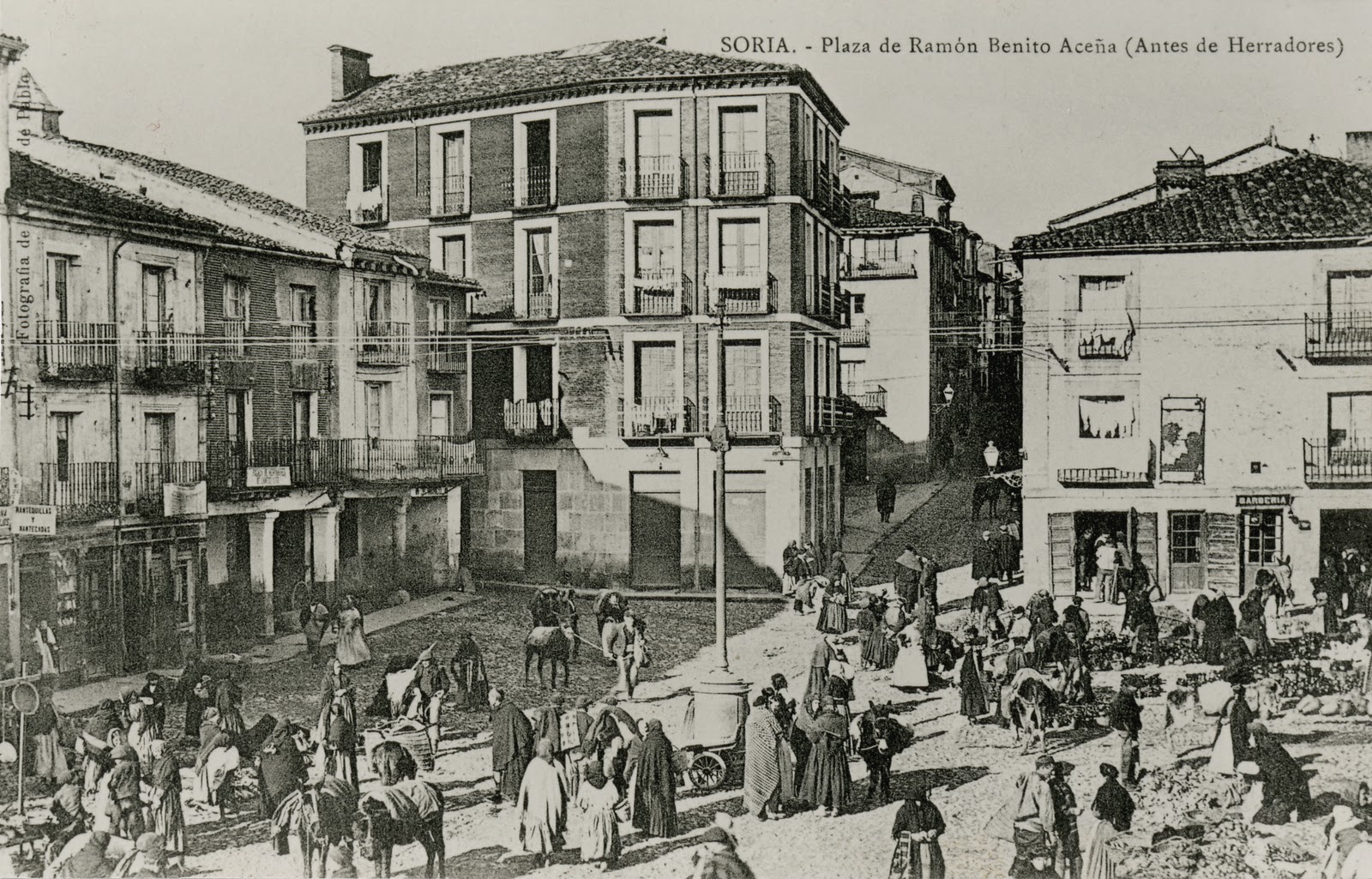 SORIA DE ANGELA SORIA