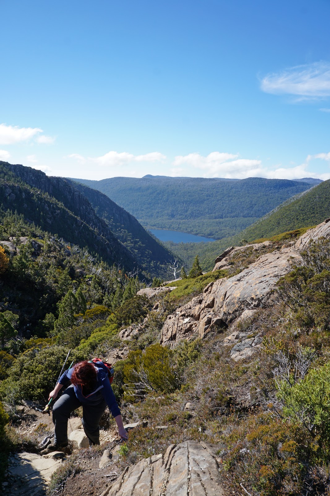 Tarn Shelf Circuit (Mount Field National Park) The Long Way's Better