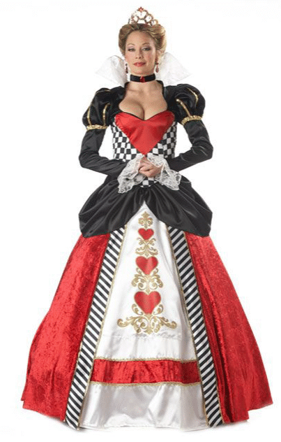 PLAY-PLAY COSTUME: Alice In The Wonderland Costume!
