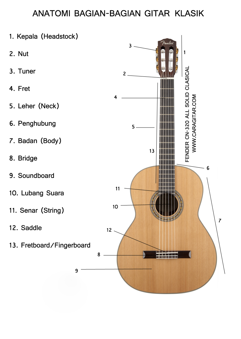 Sharing Gitar Mengenal Bagian Gitar dan Fungsinya